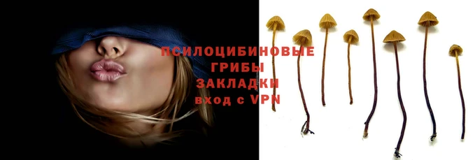 крисы Богданович